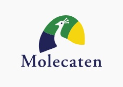 code promo Molecaten