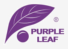 code promo Purple Leaf